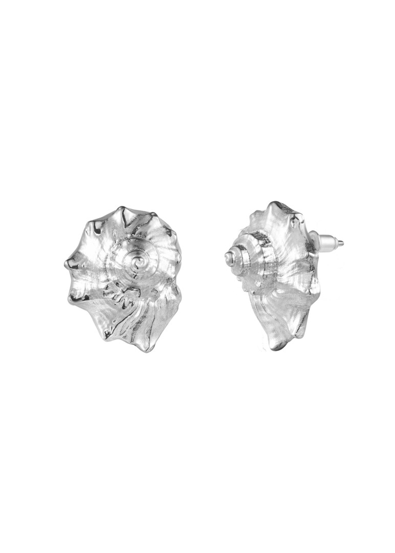 серьги-ракушки из серебра Conch Shell