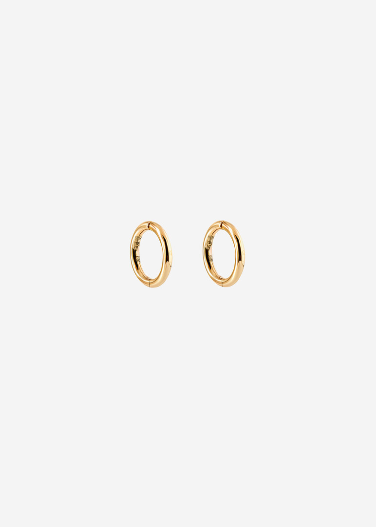 Gold Hoop earrings