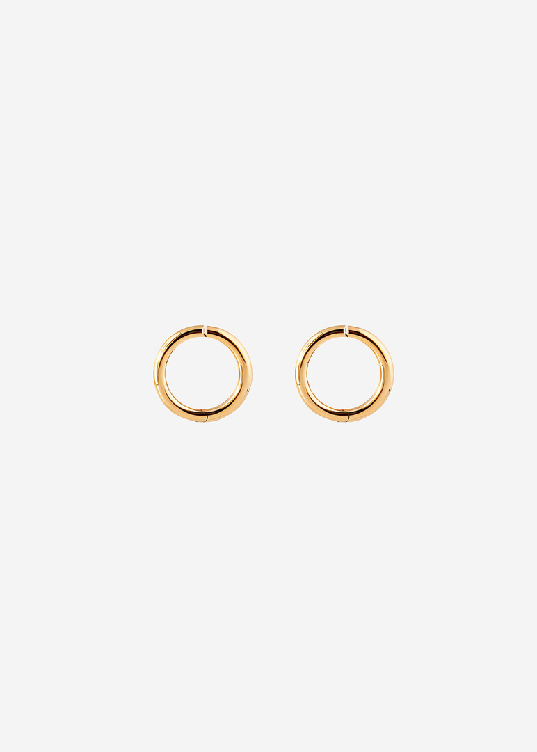 Gold Hoop earrings