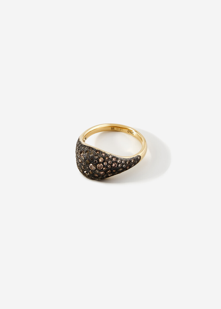 Gold and Diamond ring