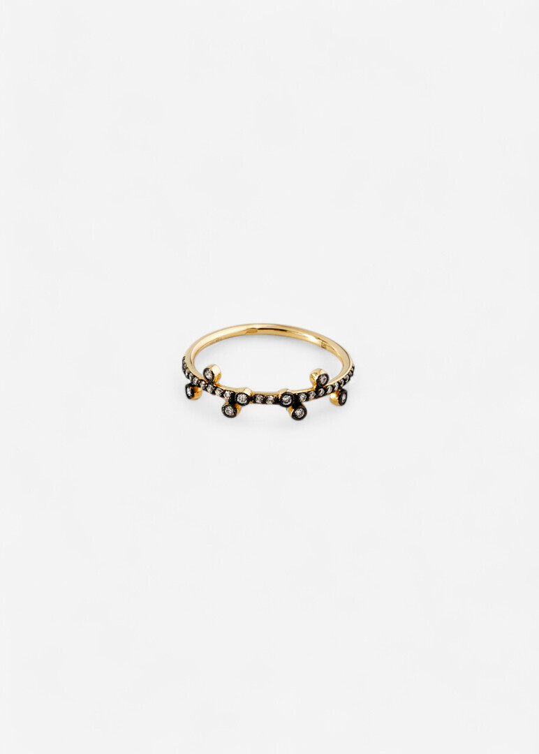 Gold and Diamond ring
