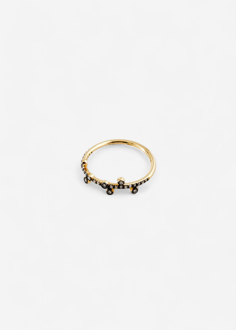 Gold and Diamond ring