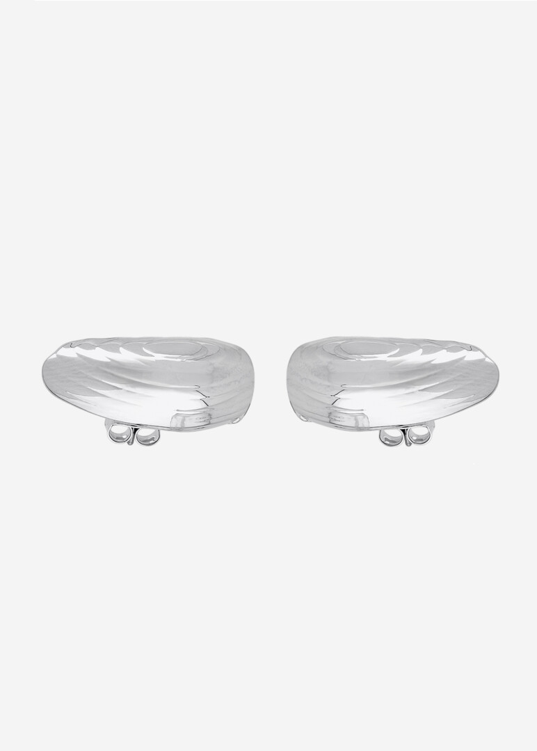 silver earrings