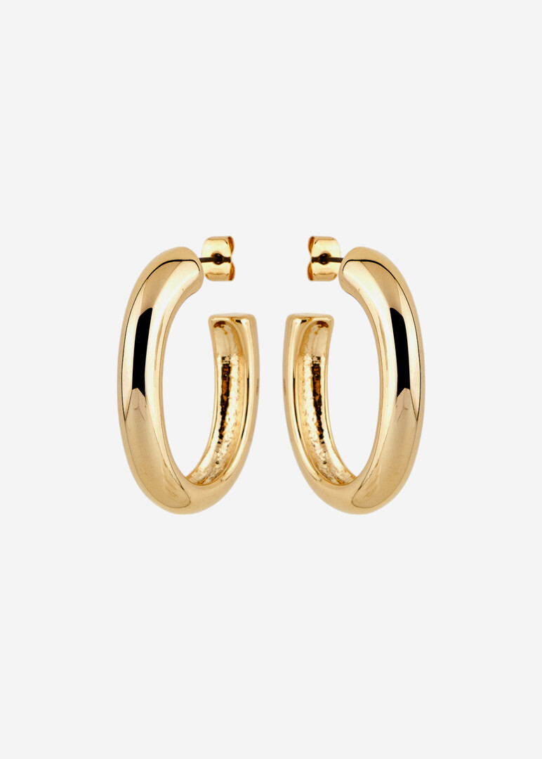 Oval Earrings