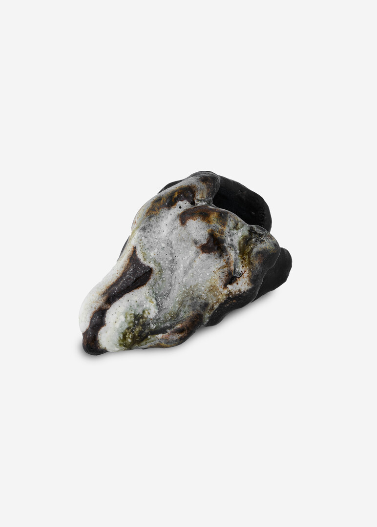 ceramic ring