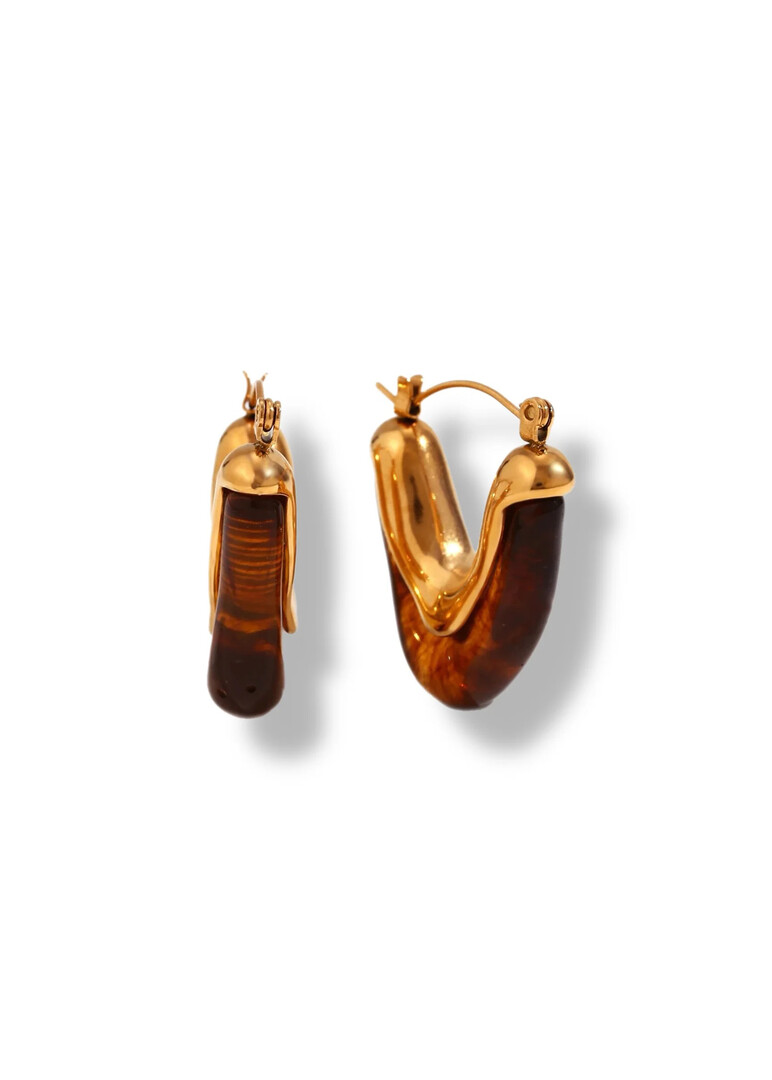 Earrings with Brown Stone