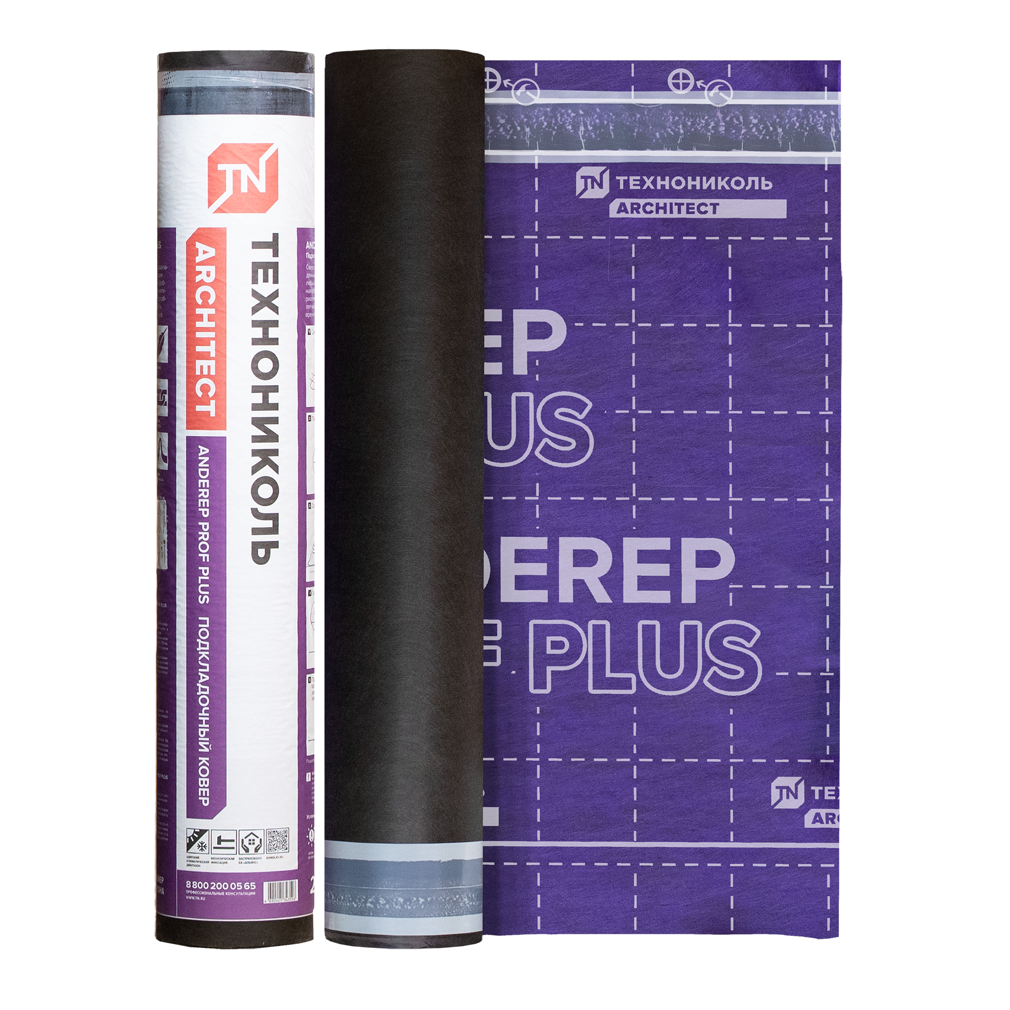 ANDEREP PROF PLUS