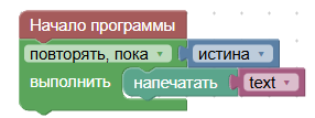 https://storage.yandexcloud.net/pioneer-doc.geoscan.ru-static/images/PioneerOS/bricks/03.loops/image029.png