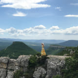 Евгения, мама Степана