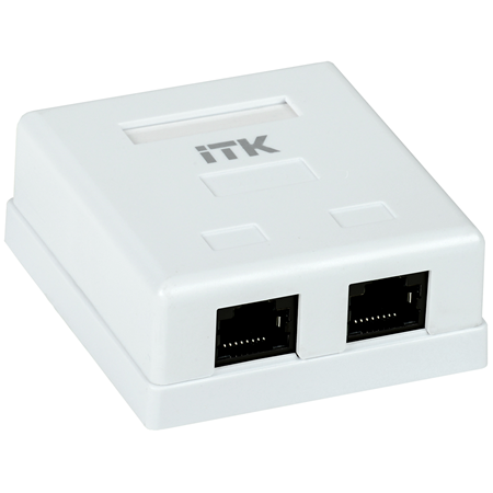 Настенная информационная розетка RJ45 8P8C, кат.5Е UTP, 2-порта, белая CS2-1C5EU-22