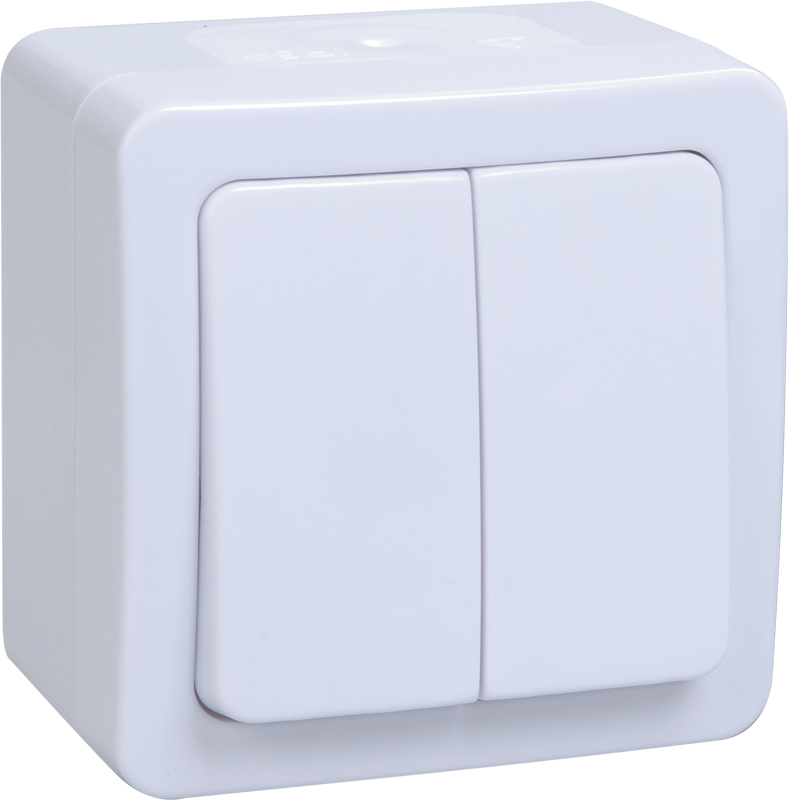 EVMP20-K01-10-54-EC ВС20-2-0-ГПБ выкл 2кл о/у IP54 (цвет клавиши:белый) ГЕРМЕС PLUS ИЭК