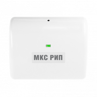 МКС РИП