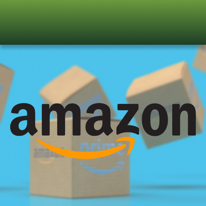 Amazon Gift Card for 250 INR (India)