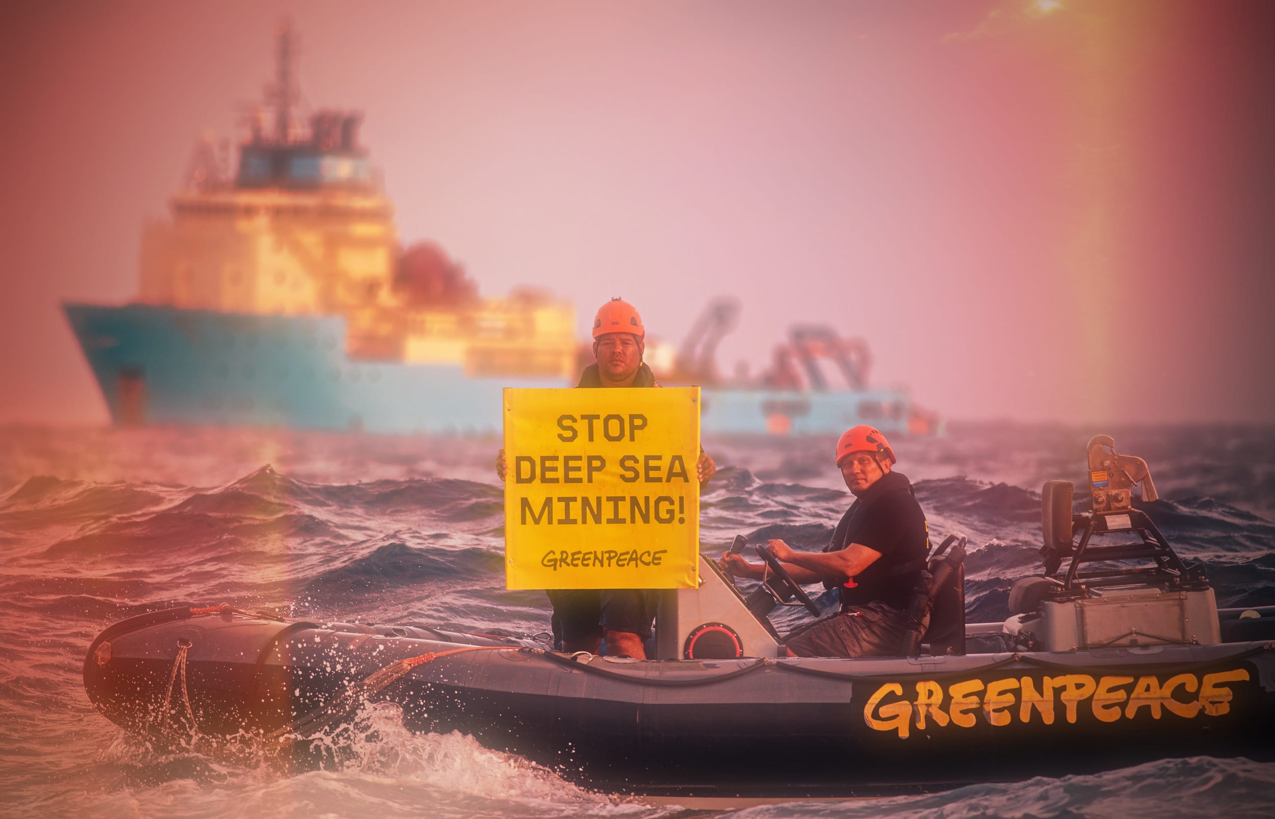 Решение по Greenpeace* запоздало на 10 лет