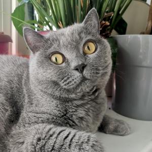 Фото профиля Сулягина Виктория