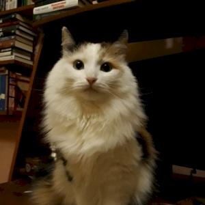 Фото профиля Виктор Ландышев