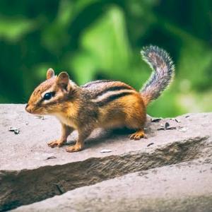 Фото профиля Владислав Бурундуков 