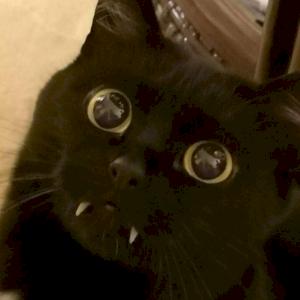 Фото профиля Дарина Лапáй