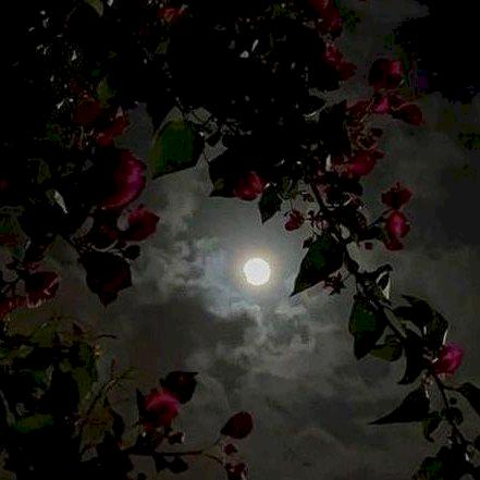 Фото профиля Варвара Данильчук 