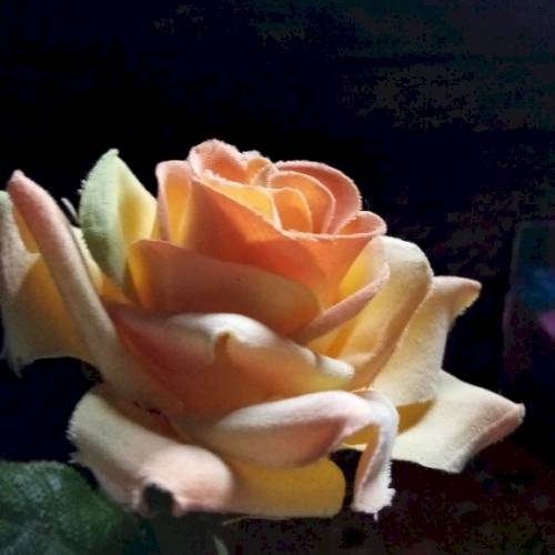 Фото профиля stroffile