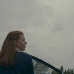 Фото профиля ежи с ними