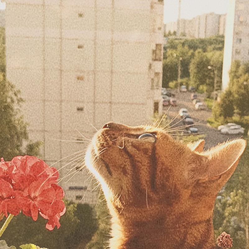 Фото профиля Марк Осенний 