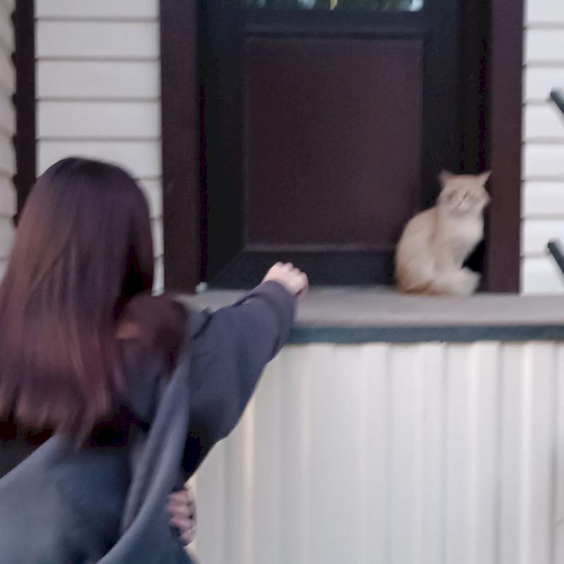 Фото профиля sPiRiT