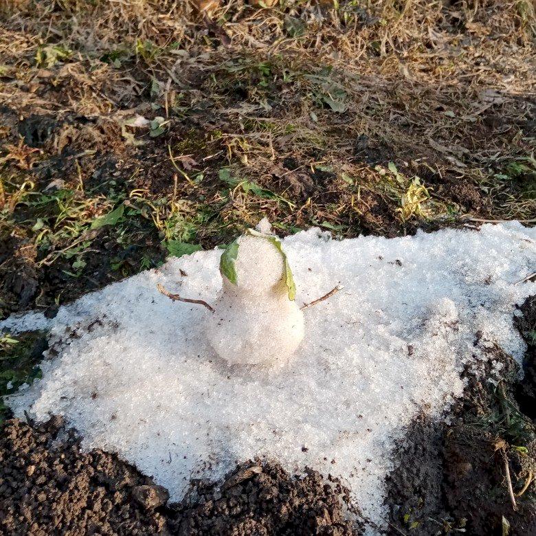 Фото профиля Просто