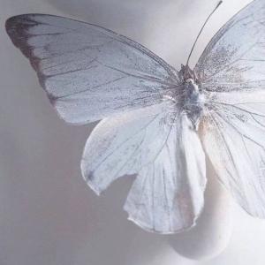 Фото профиля 𝐷𝑎𝑟𝑠