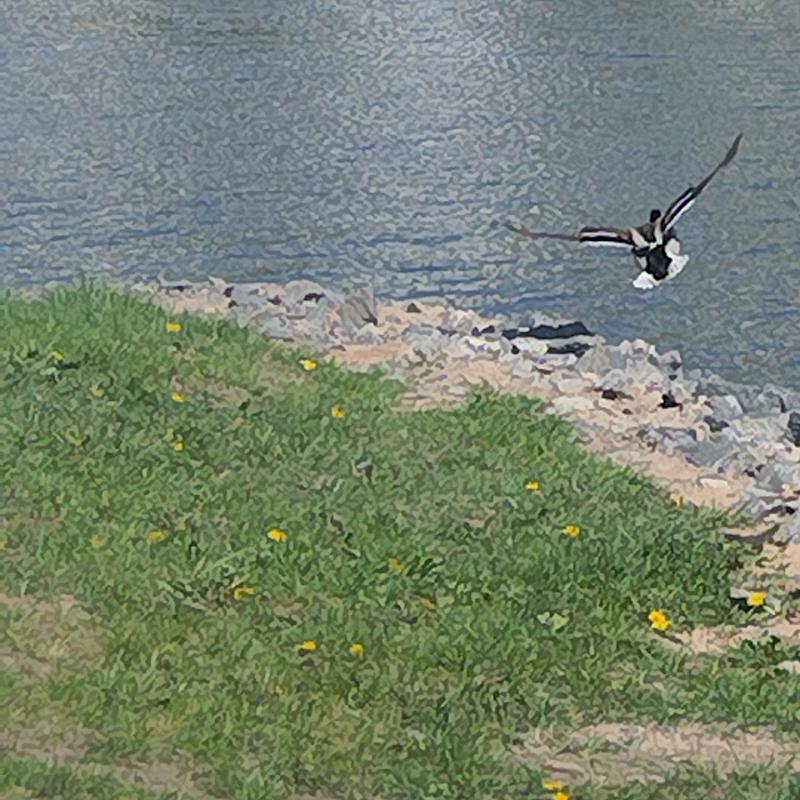 Фото профиля Иван Скученовский