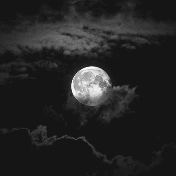 Фото профиля BlackMoon