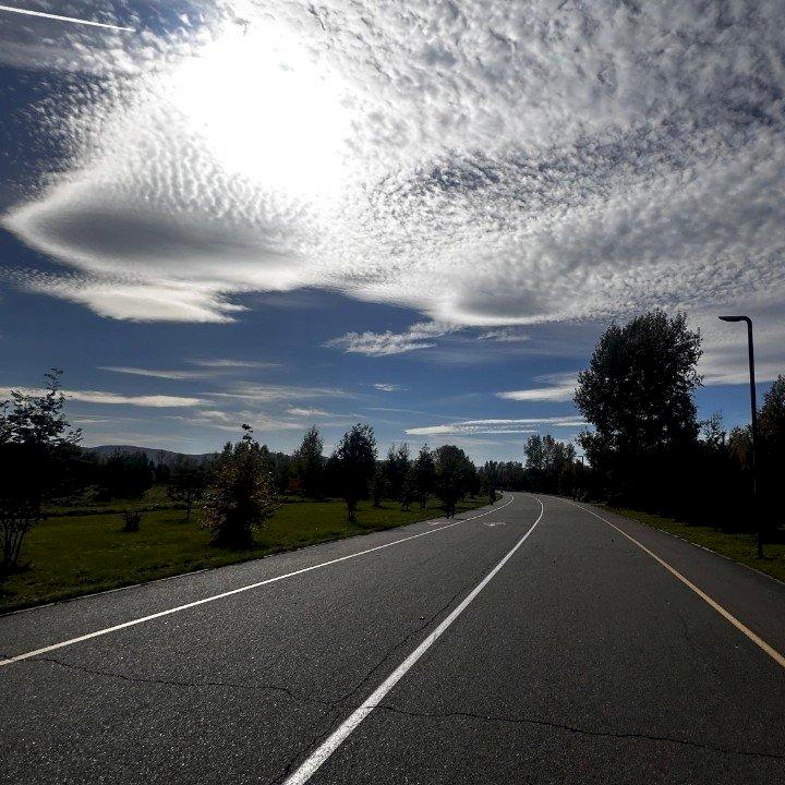 Фото профиля  Roman Shell