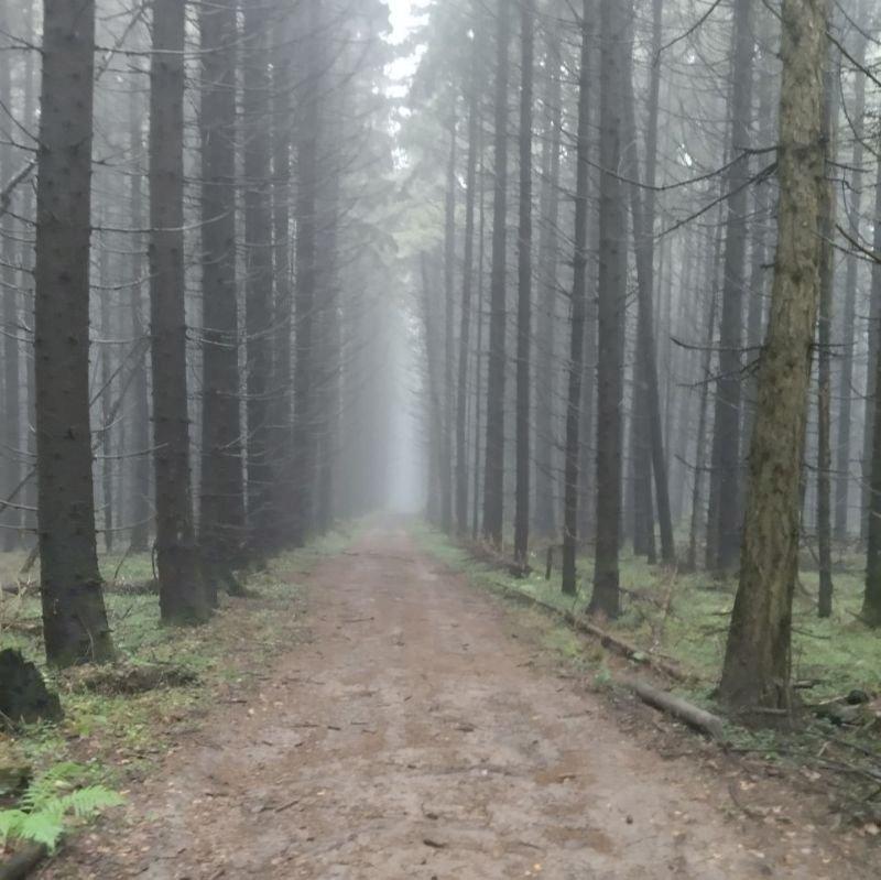 Фото профиля Иван Сушков