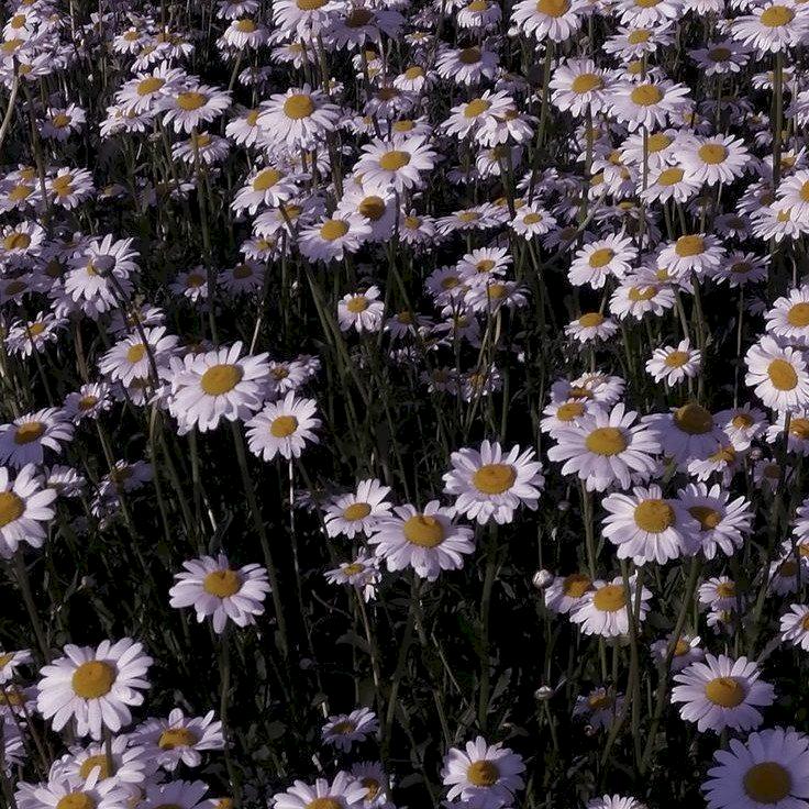 Фото профиля Константин Картунов 