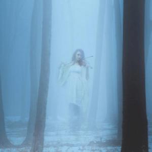 Фото профиля Ктонибудь на последнем этаже