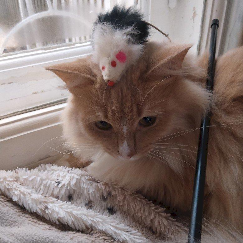 Фото профиля Нестерова Екатерина Ивановна 