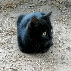 Фото профиля VenloUU2185