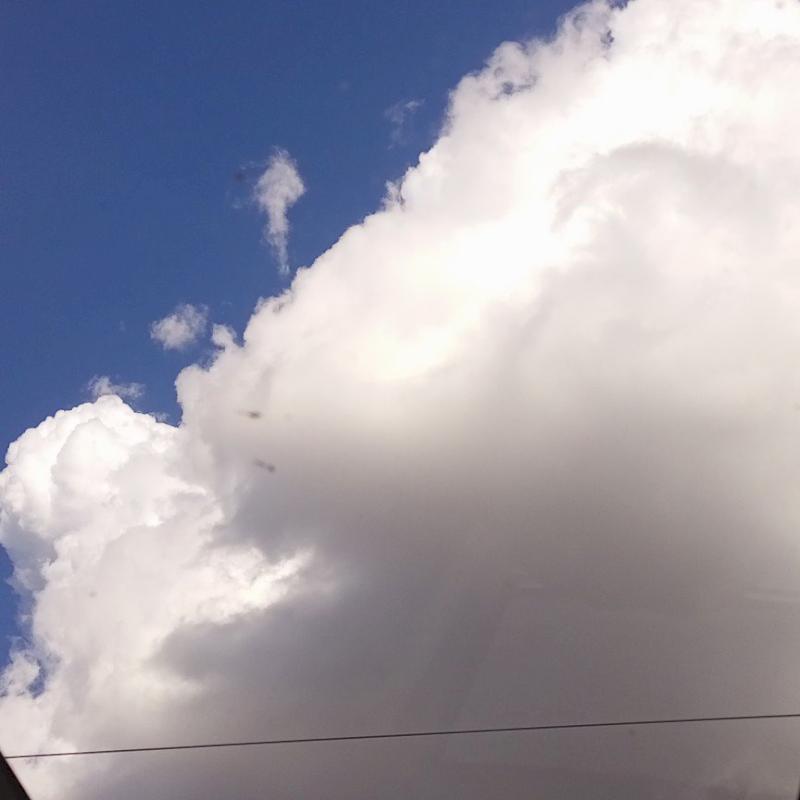 Фото профиля Оливия Милашка