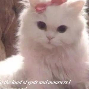 Фото профиля Аива Илая