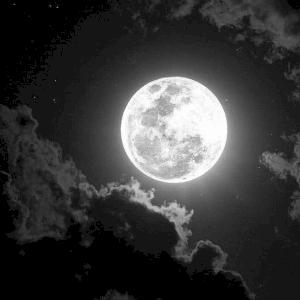 Фото профиля А Вольф