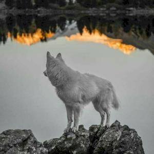 Фото профиля Наталия Муратова