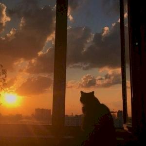 Фото профиля Asterisk Sky