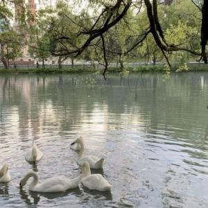 Фото профиля Лина аnsqwer