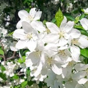 Фото профиля Сергей Холодков