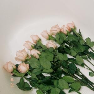 Фото профиля Кристаллова