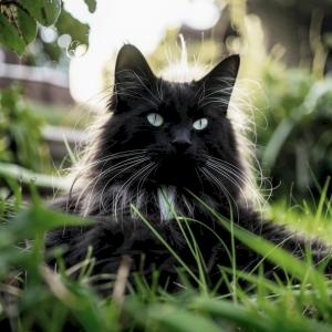 Фото профиля Альника