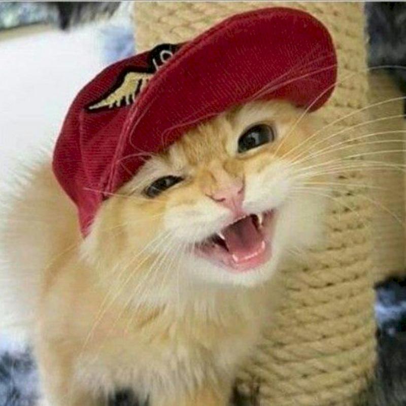 Фото профиля Яна Оскалова