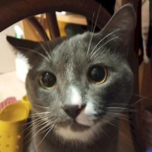 Фото профиля Гущенкова Ульяна 