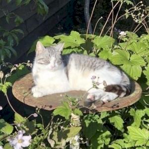 Фото профиля Солнечный день