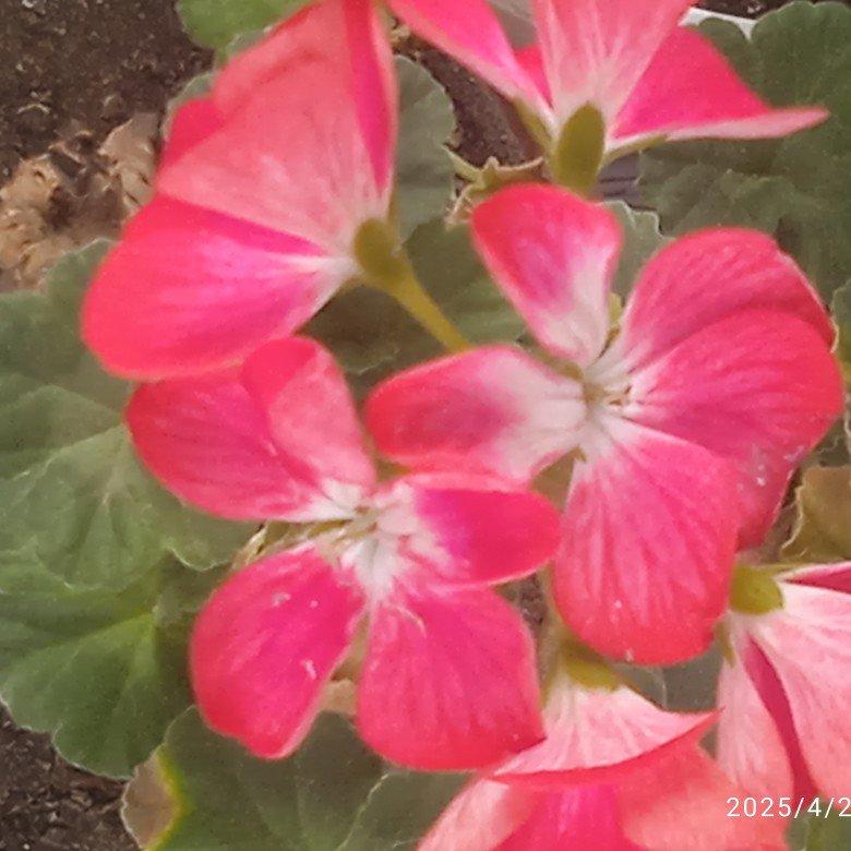 Фото профиля гостья